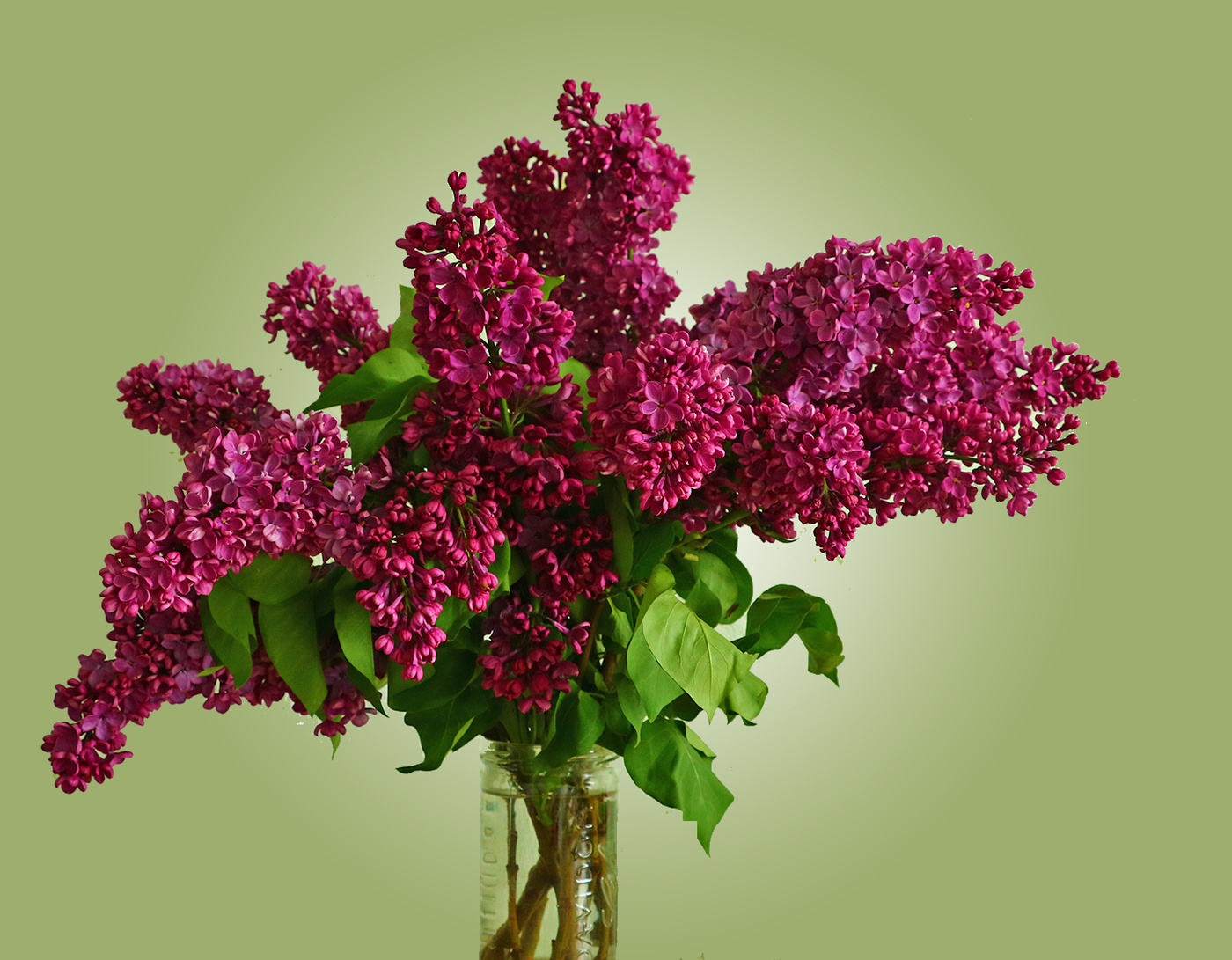 Апрельский букет