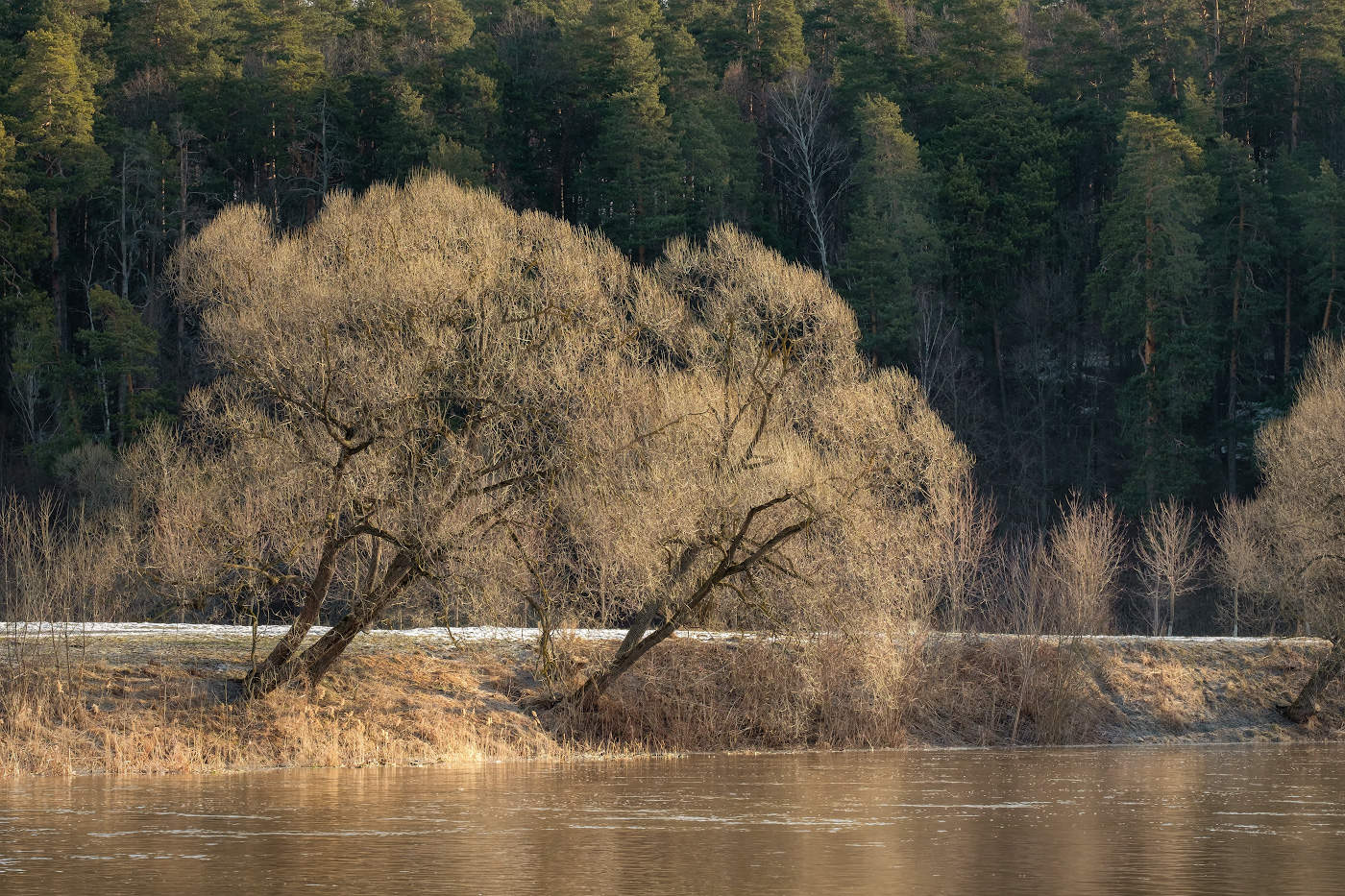 Разлив на Пахре