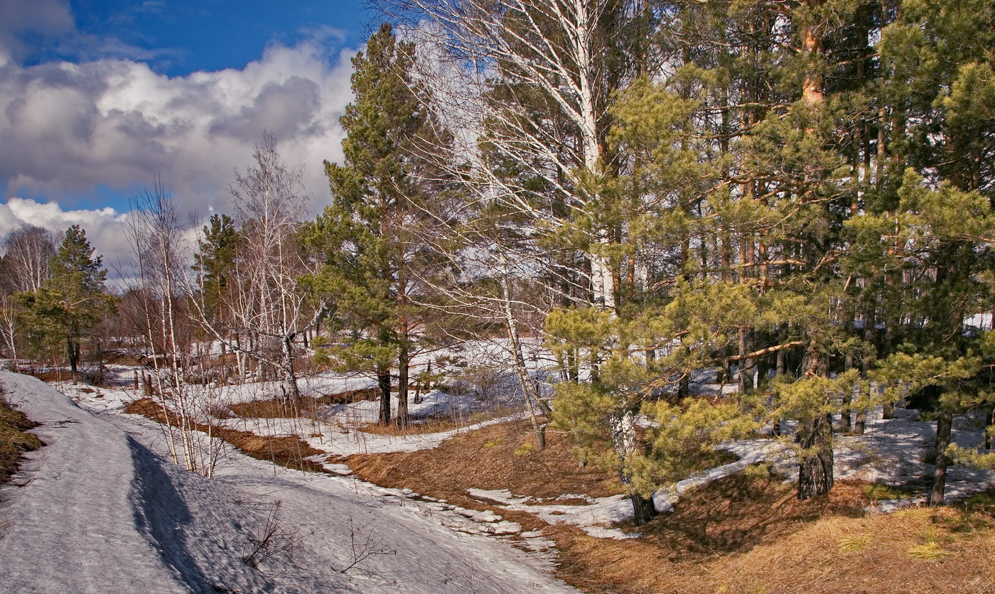 АПРЕЛЬСКИМ ДНЕМ