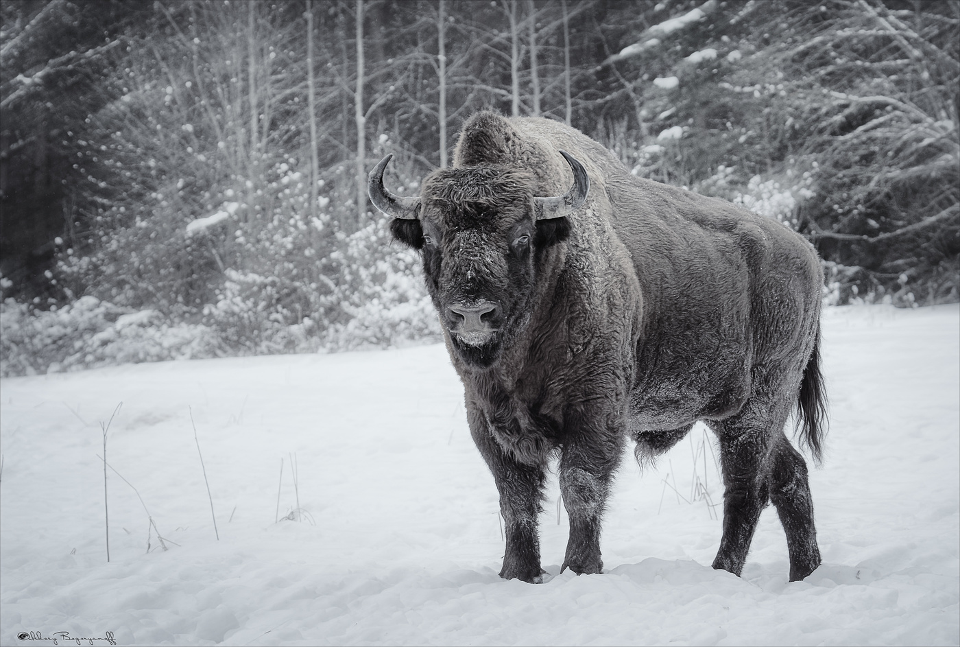 Не о чем волноваться...