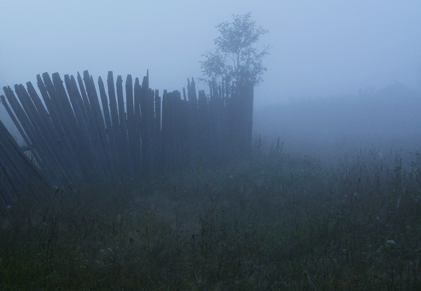 Утренний этюд ...