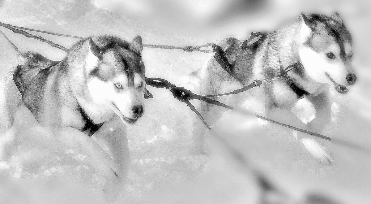 Волнительная пятница