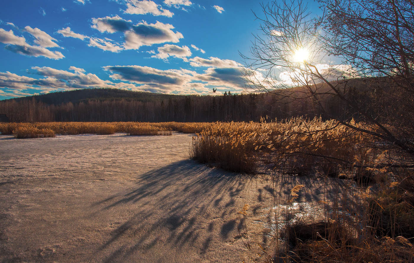 Весенняя зарисовка