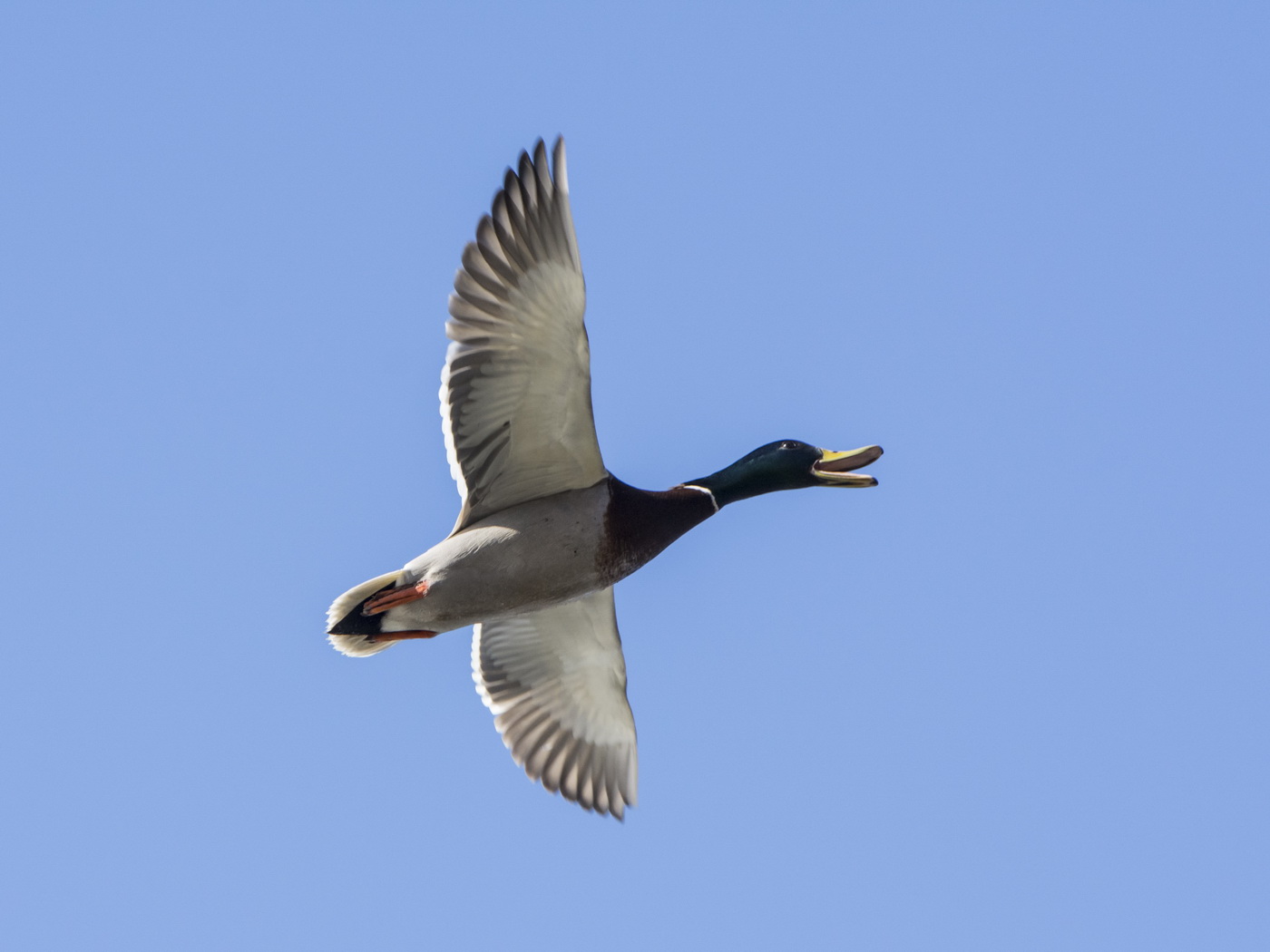 Волнительная пятница