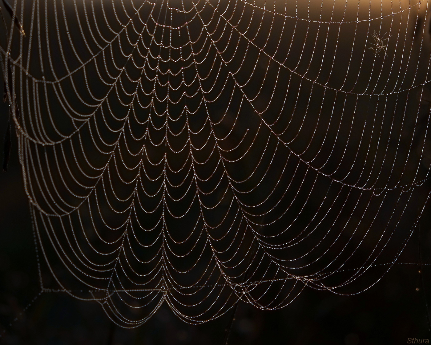 Волнительная пятница