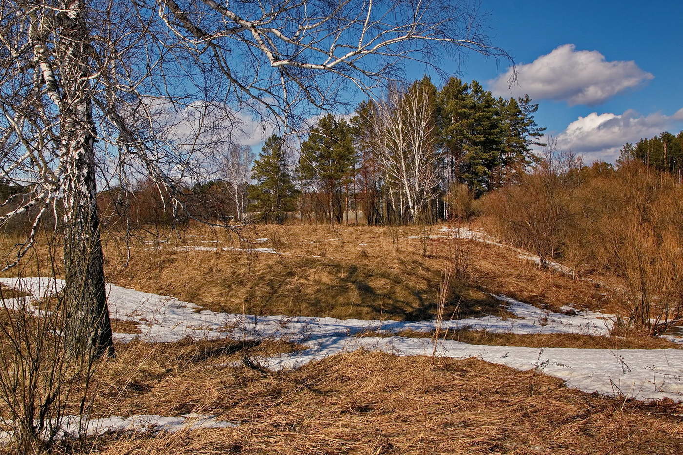 ВЕСЕННИМ ДНЕМ