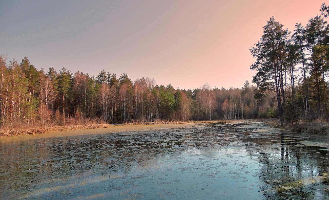 Апрельским вечером на озере