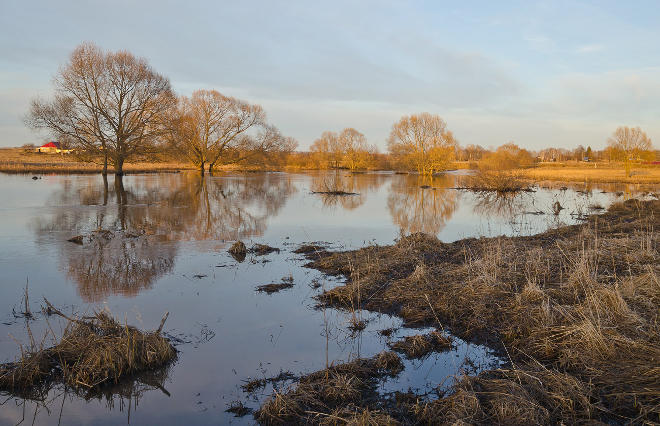 Весенняя Солова