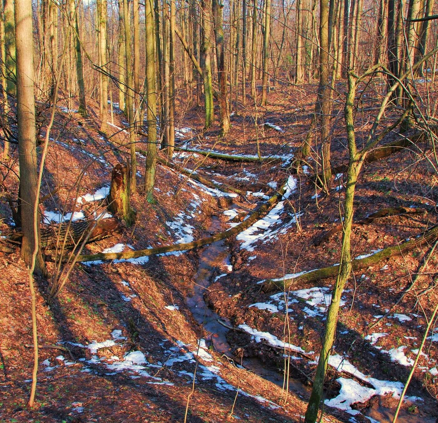 "Ручья невзрачное теченье ..."