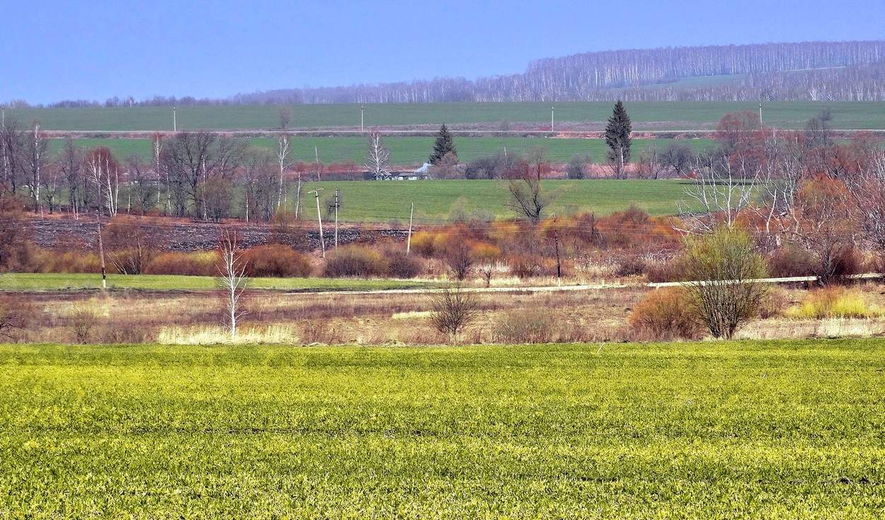 Весенние поля и перелески