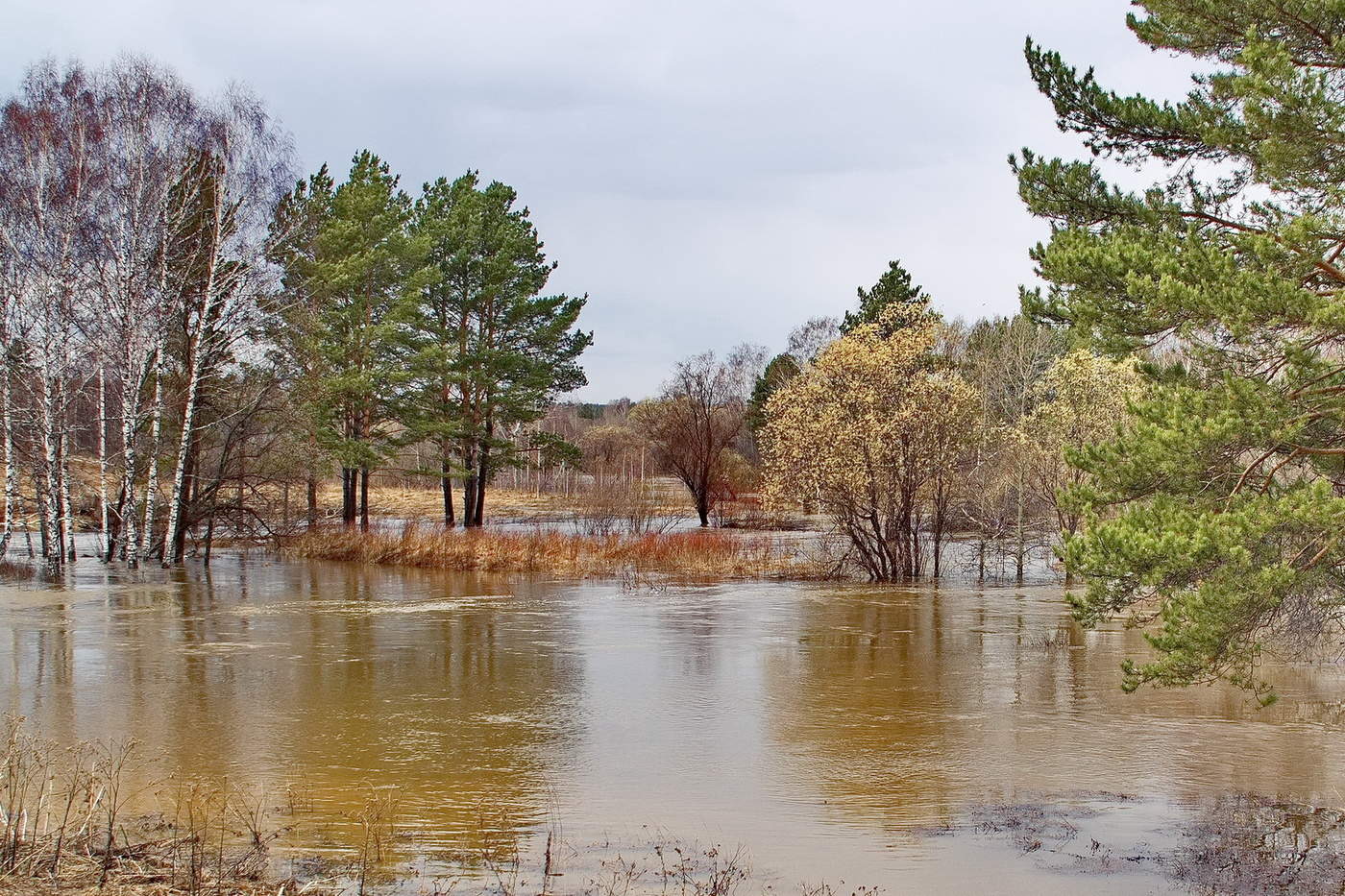 БОЛЬШАЯ ВОДА