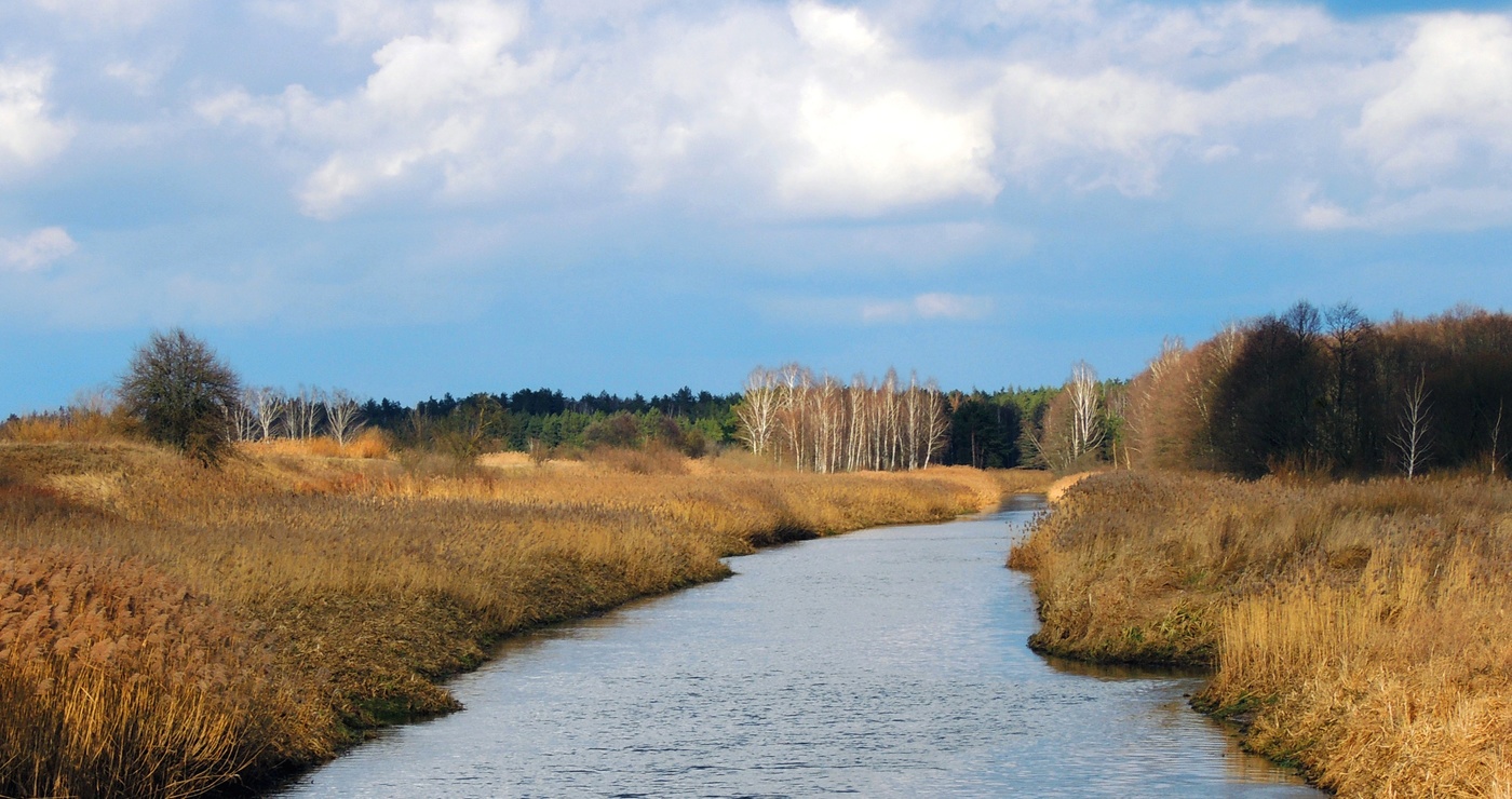 В начале весны