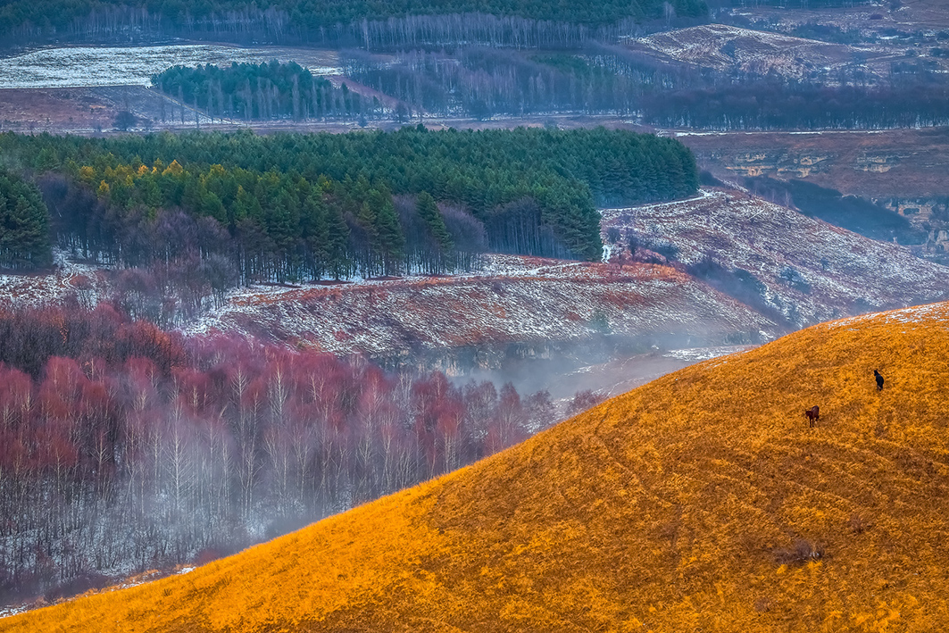 Разноцветье