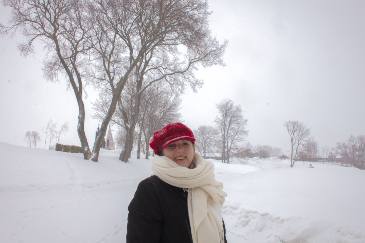 Снежный день