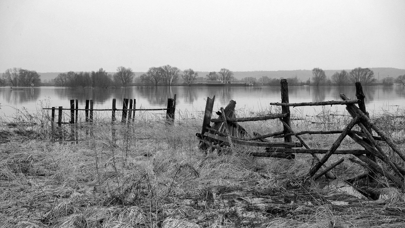 Старая ограда.