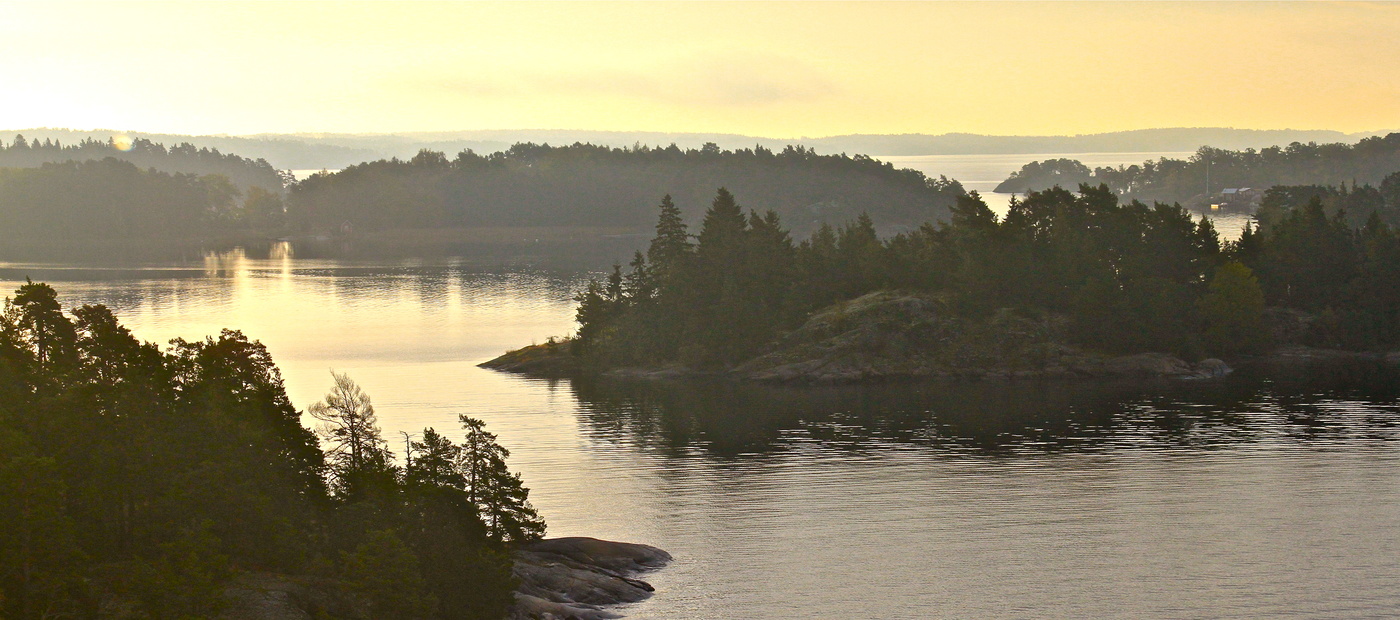 Утренний свет