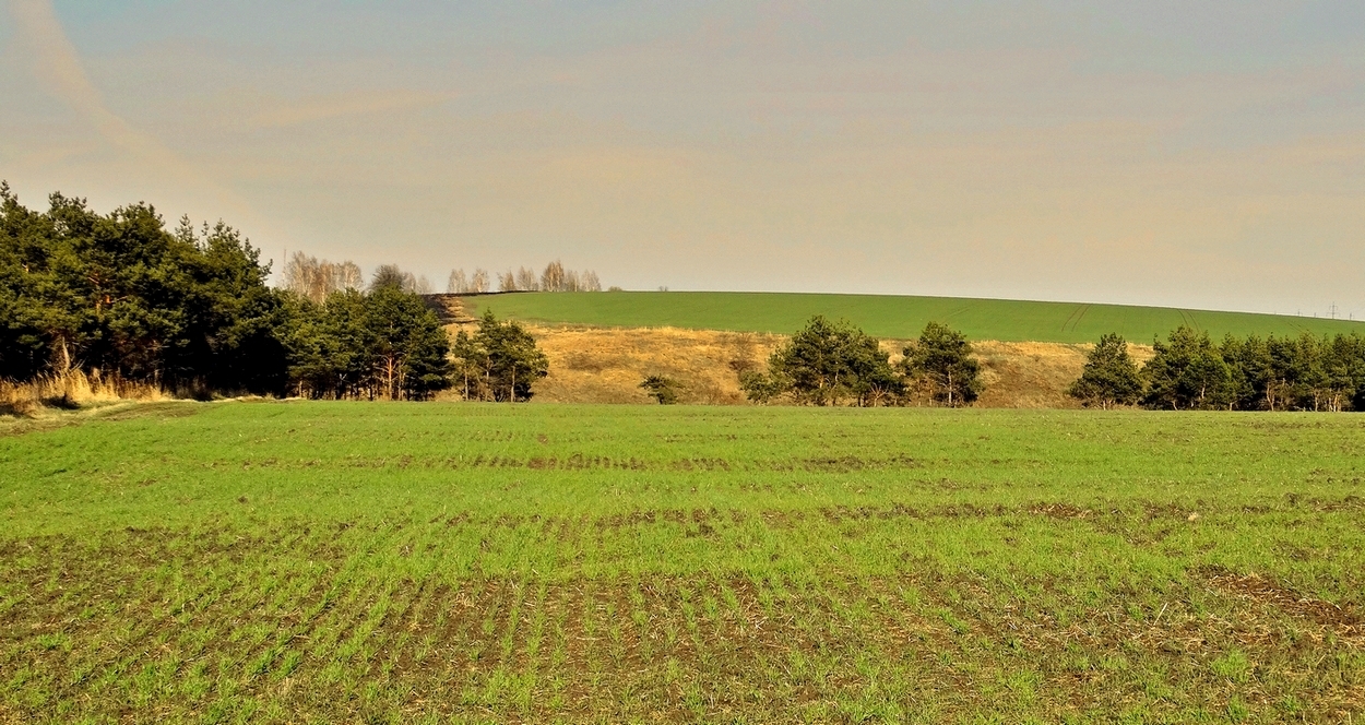 Весна до самого горизонта