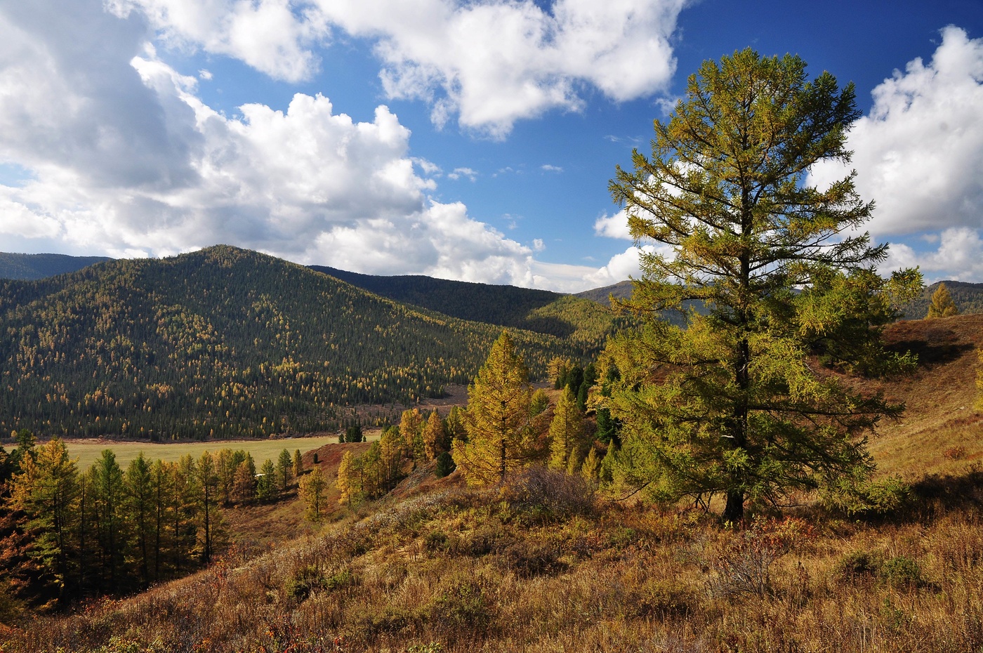 Начало осени