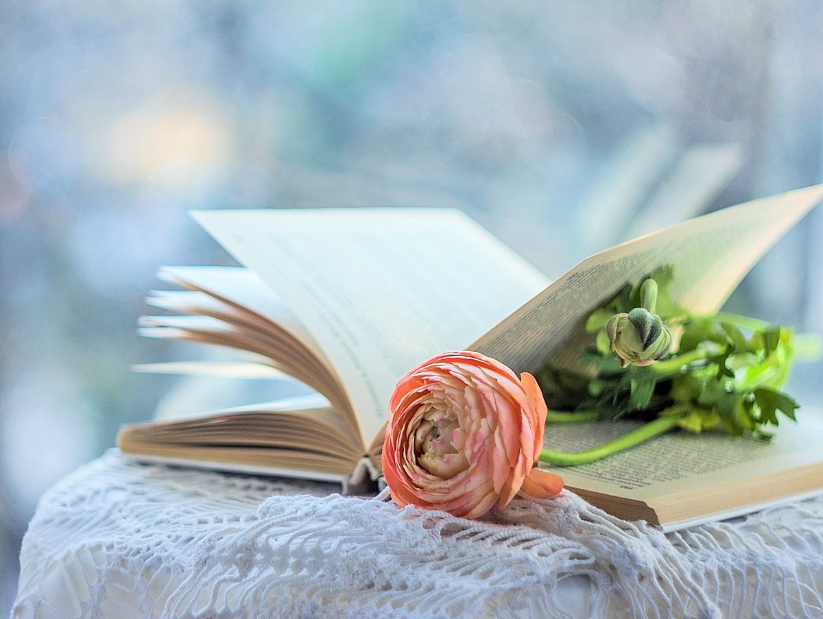 ...сентиментальный роман...