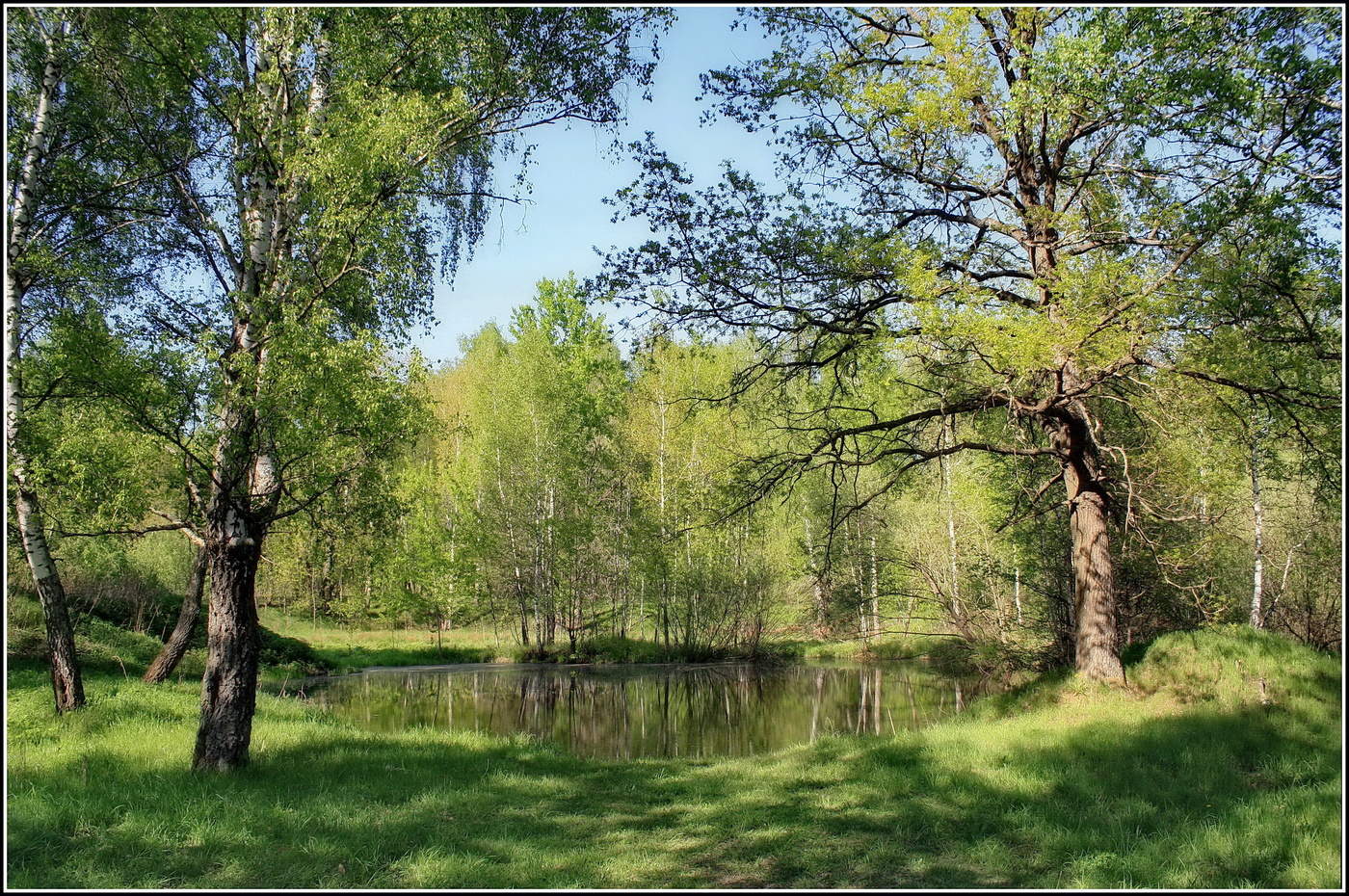 майский пейзаж