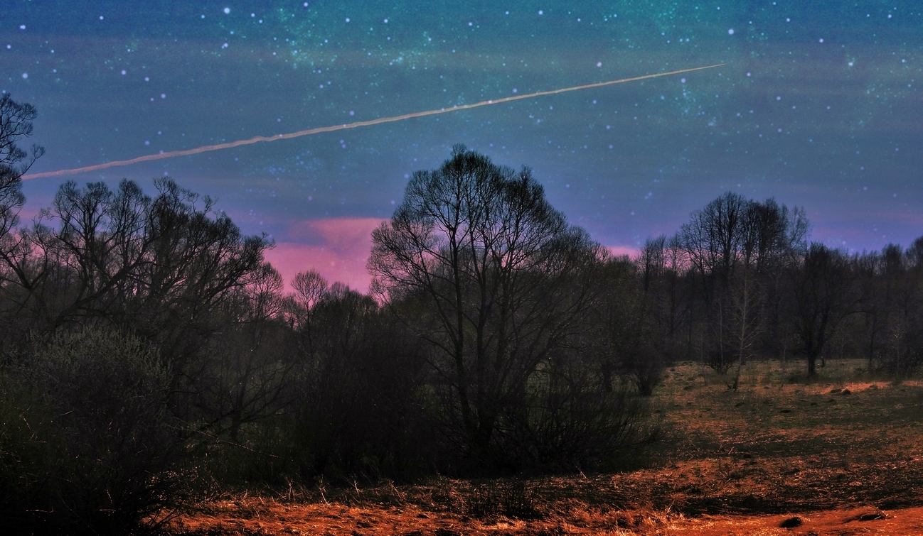 Весенние грёзы