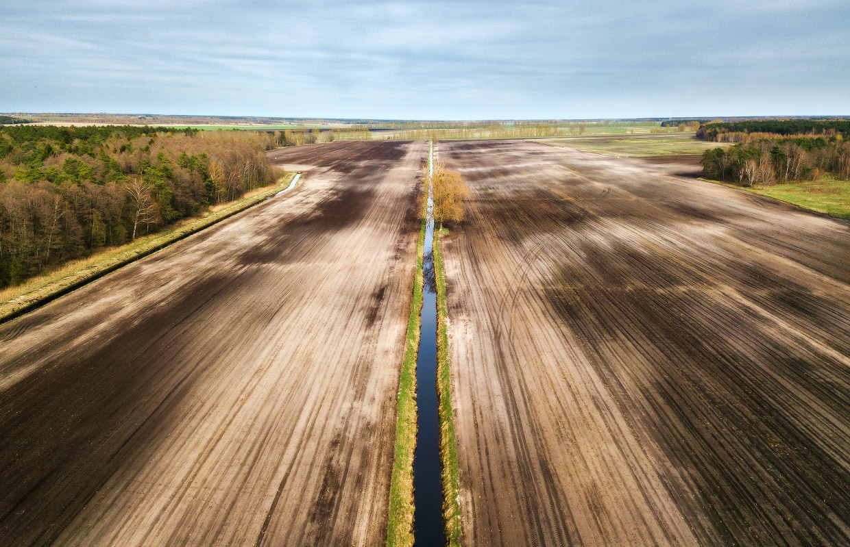 Апрельские поля