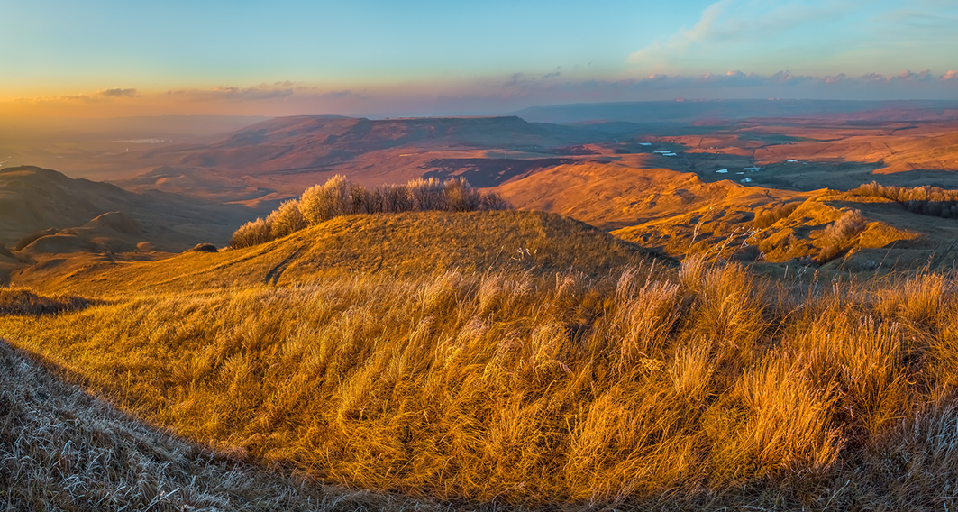 Золотая степь
