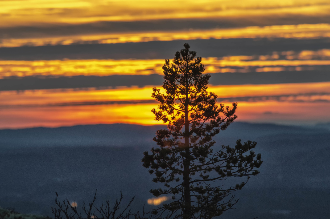 От заката до рассвета.