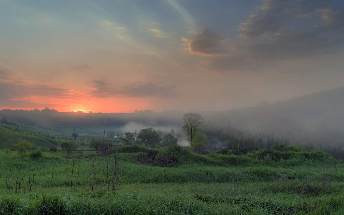 Туманные рассветы