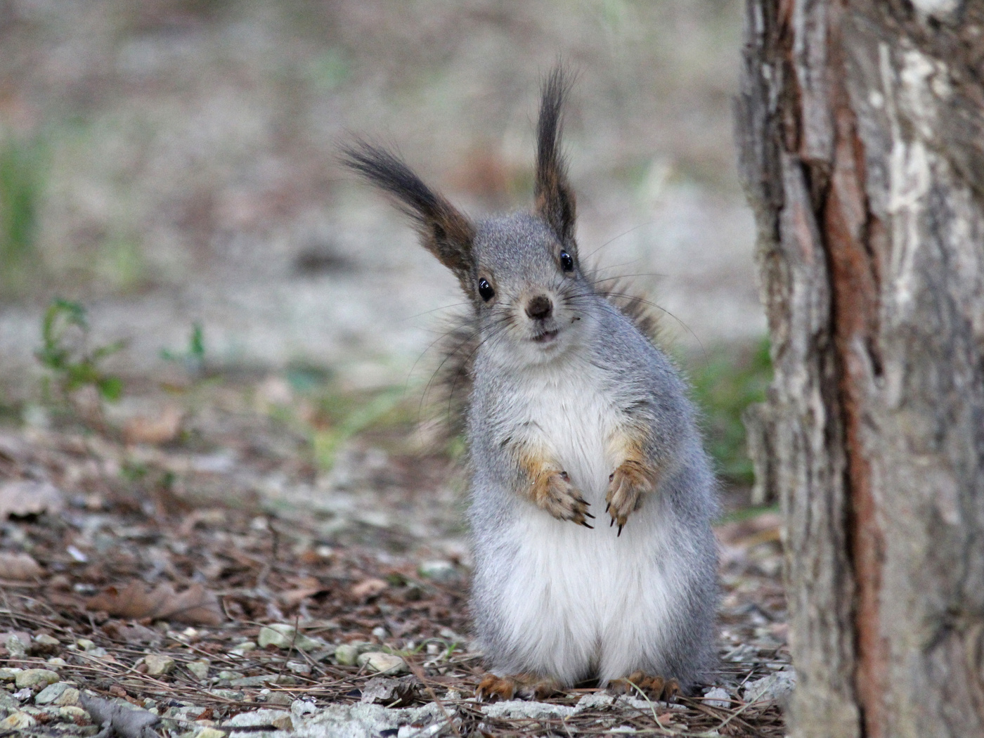 Дружба начинается с улыбки