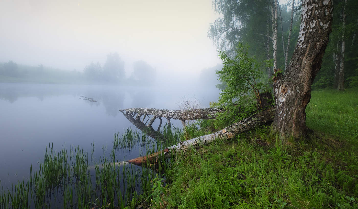 Синий туман