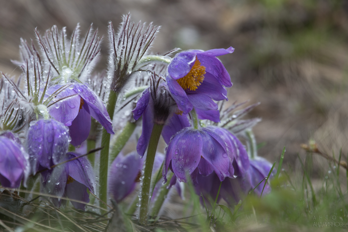Вроде бы потеплело