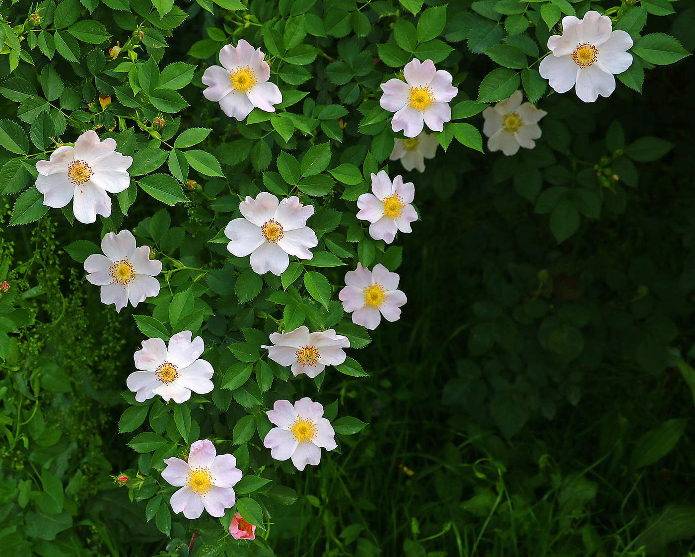 Вроде бы потеплело