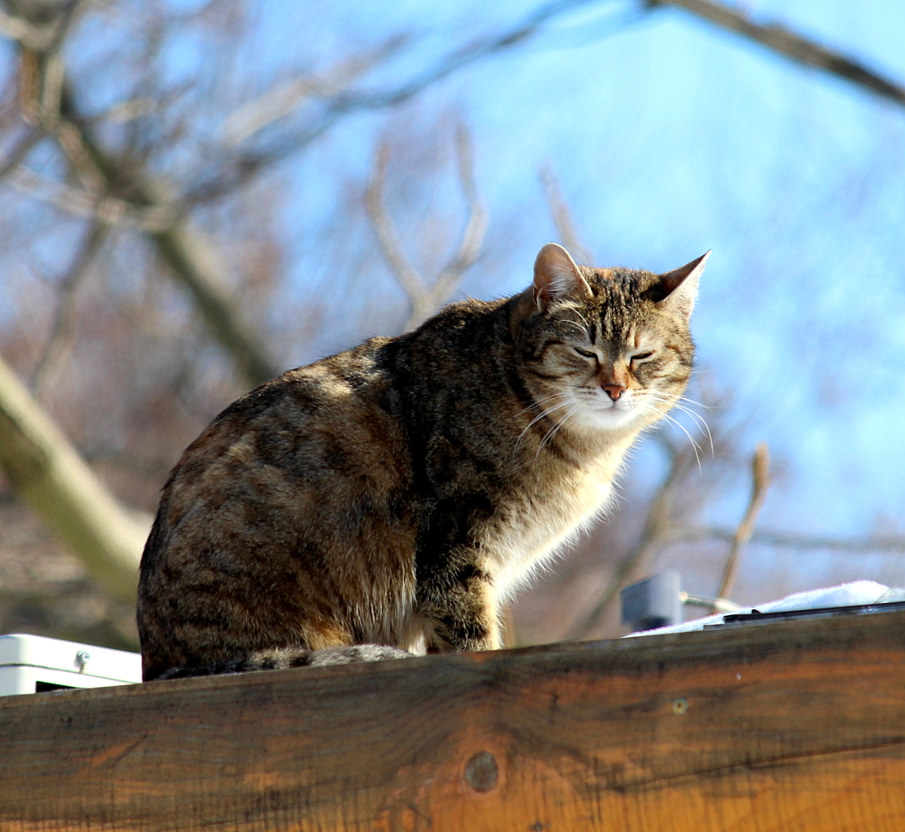 Вроде бы потеплело