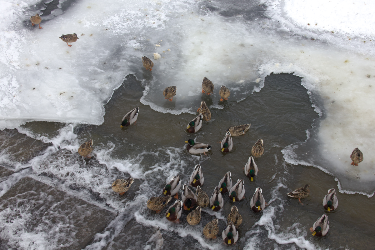 Вроде бы потеплело