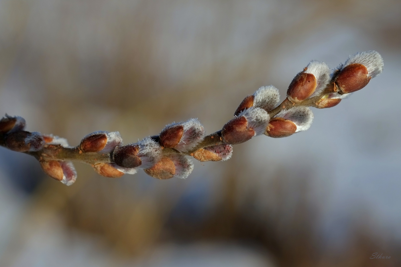 Вроде бы потеплело