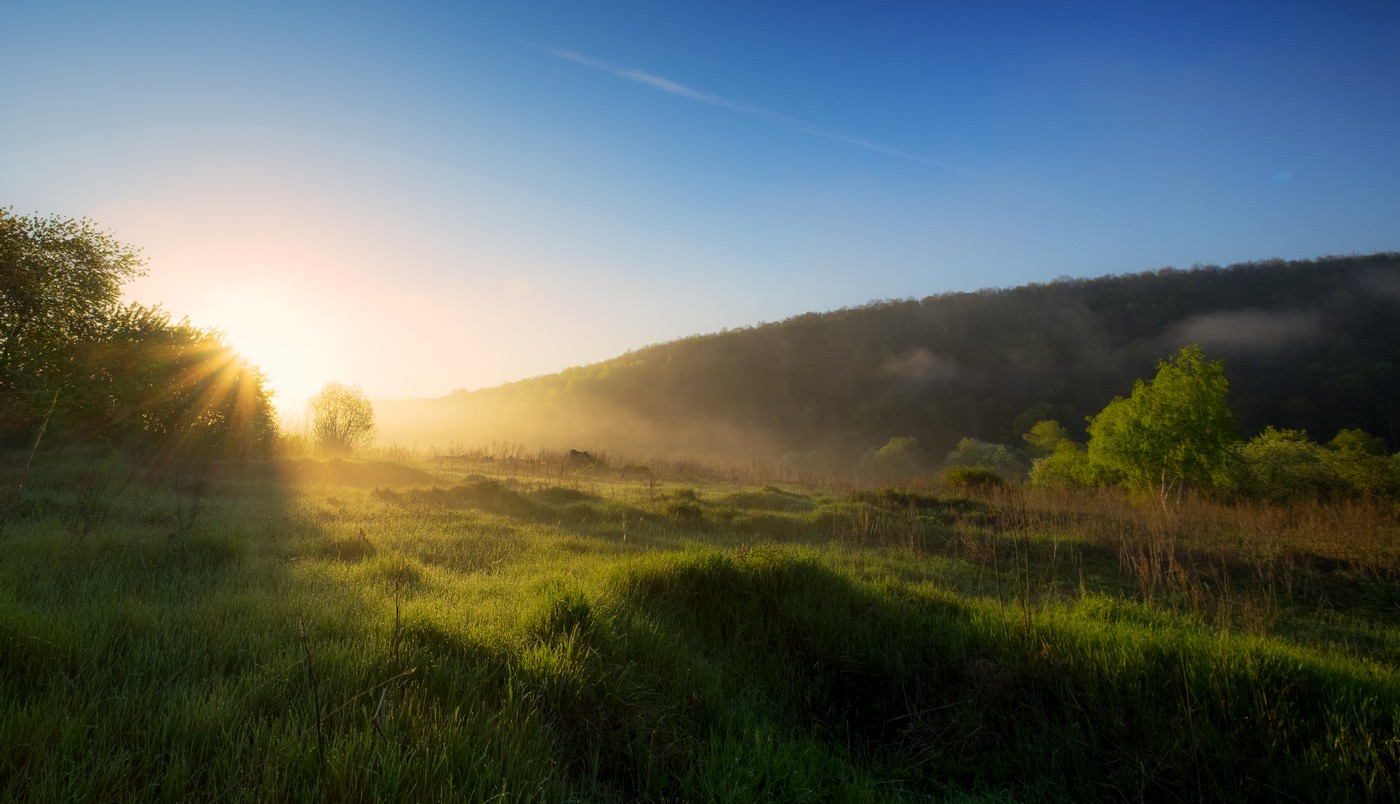 Здравствуй утро