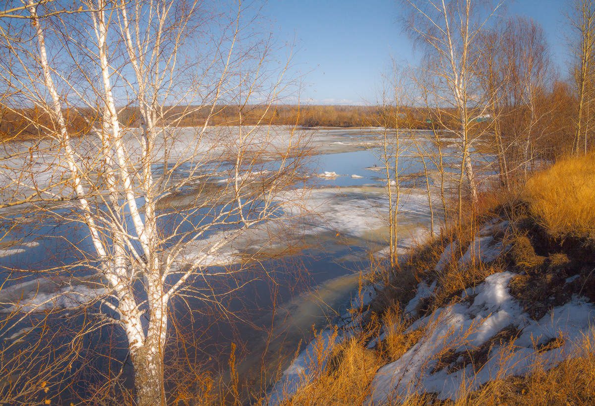 Весенний тёплый день