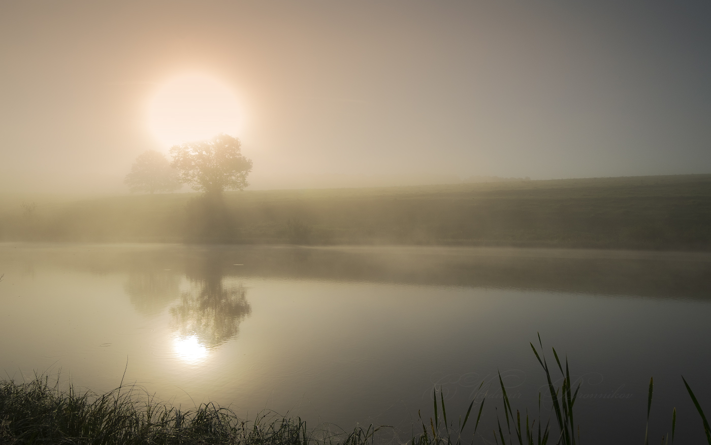 Туманное безмолвие