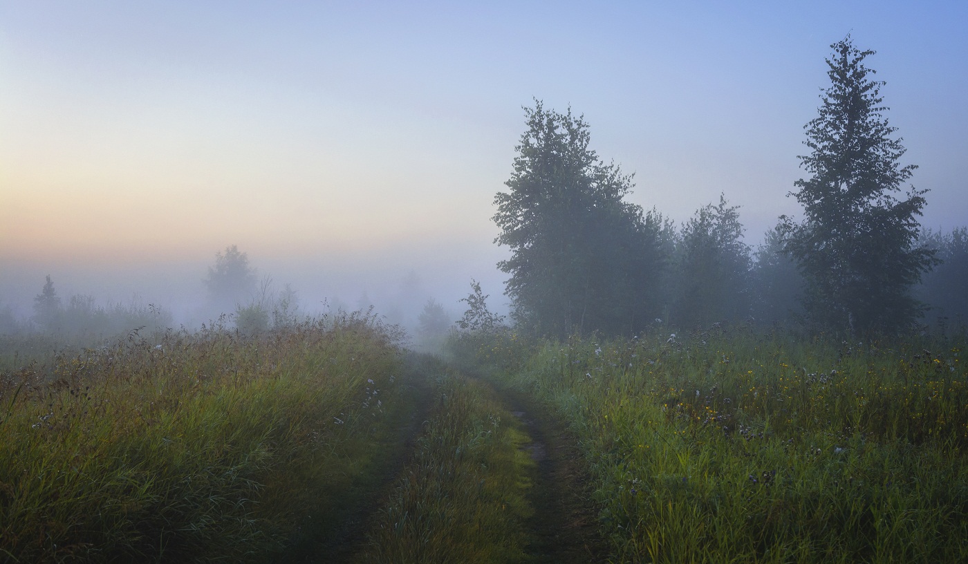 Летнее утро.