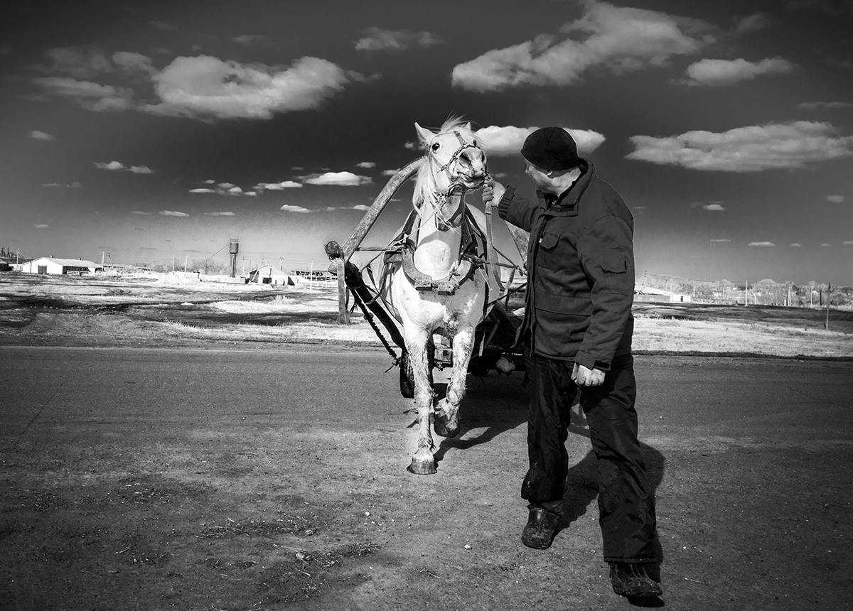 Строптивая...