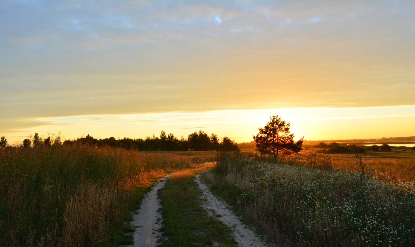 Дорога к солнцу...