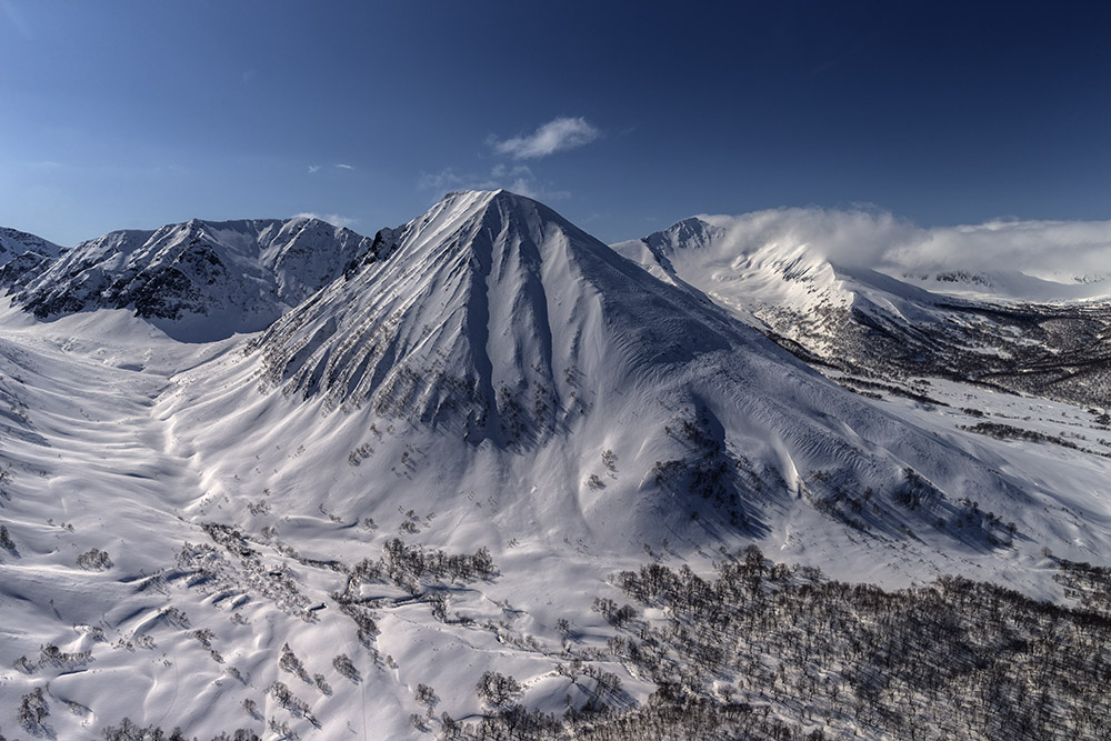 Лучше гор...