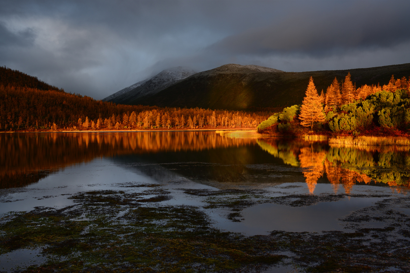 Мгновение...