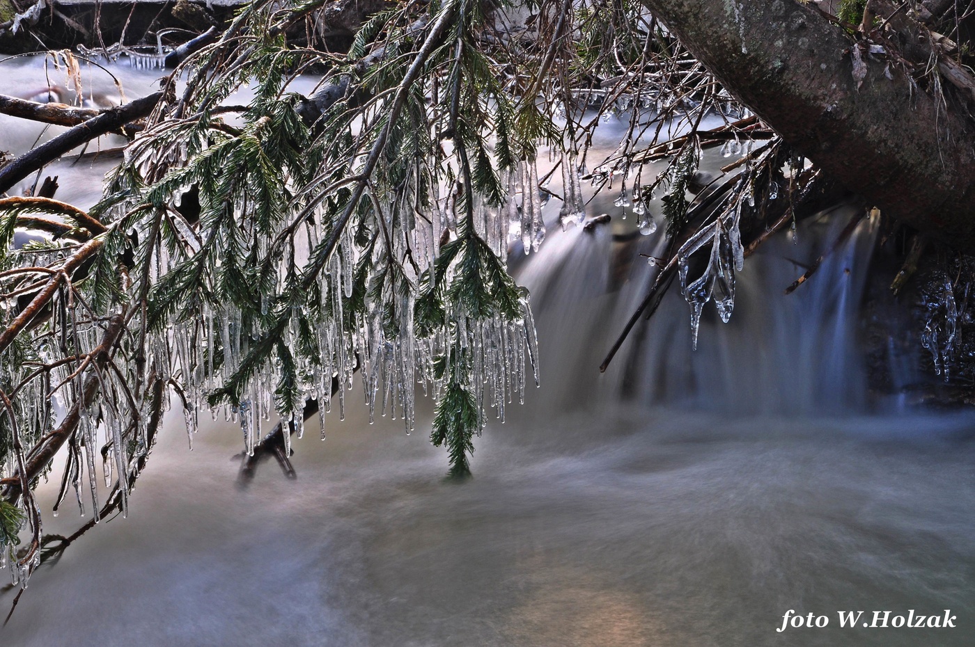 Раннее утро. Последние заморозки