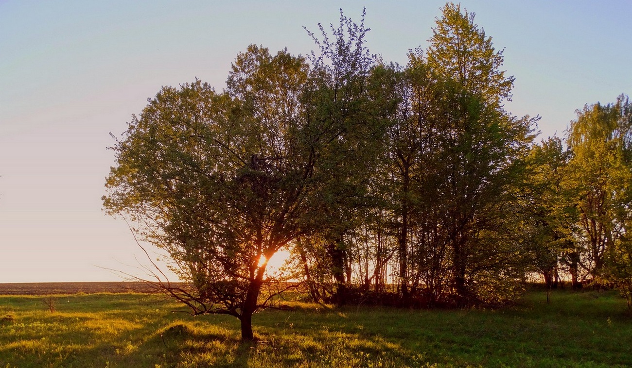 Весенний закат солнца