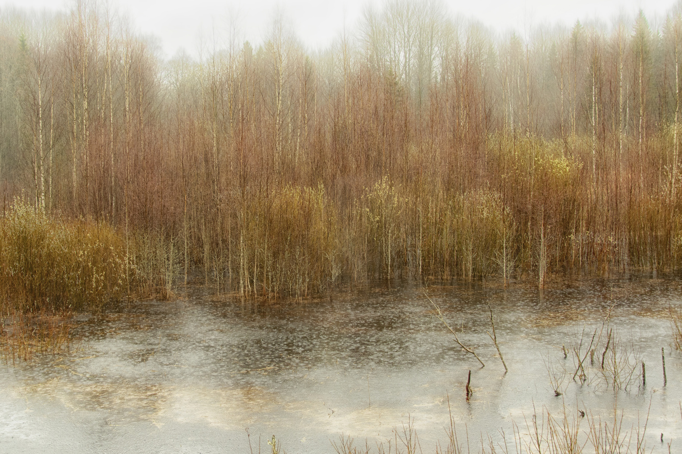 Припустил...