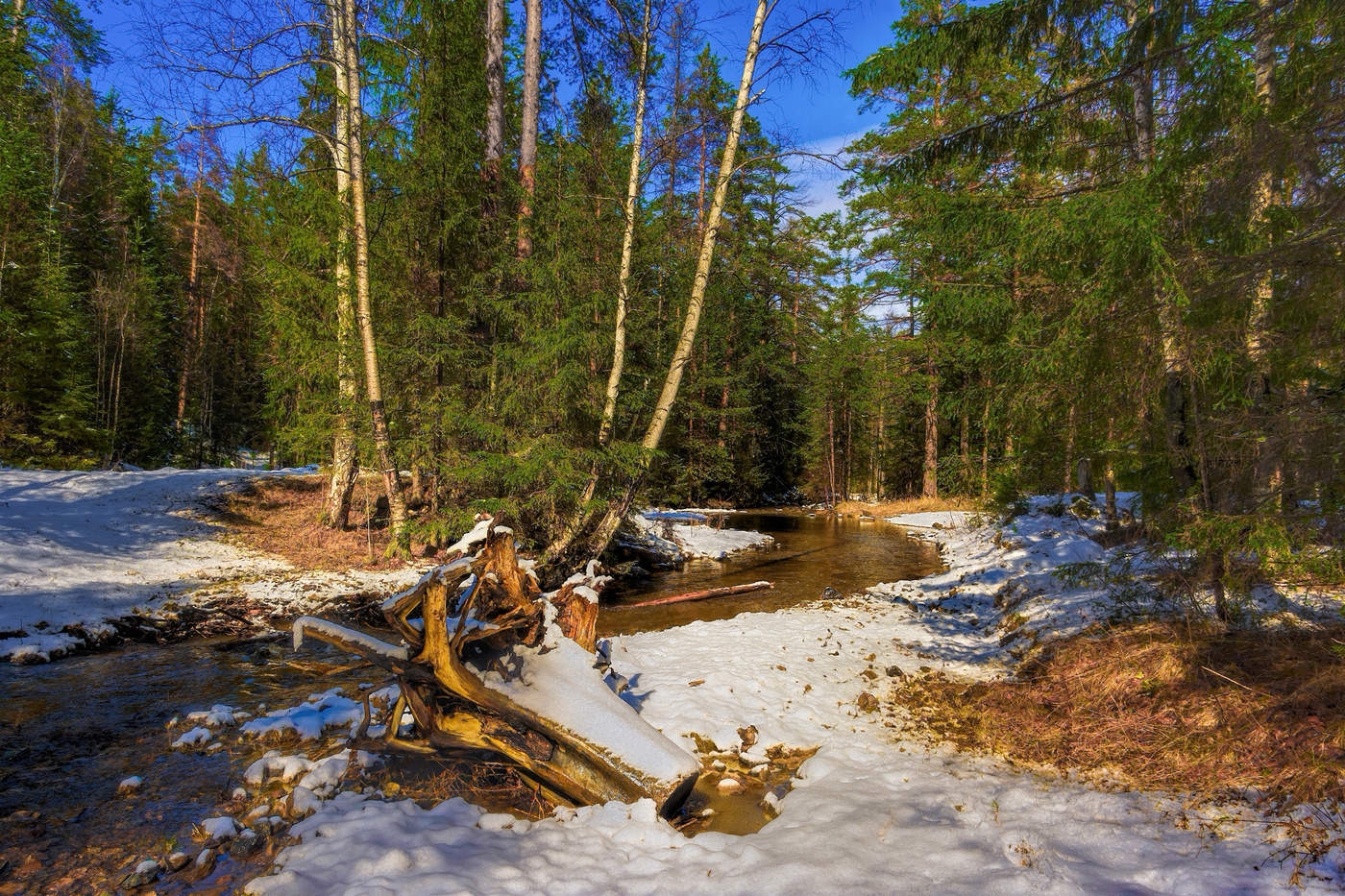 Весенние проталины