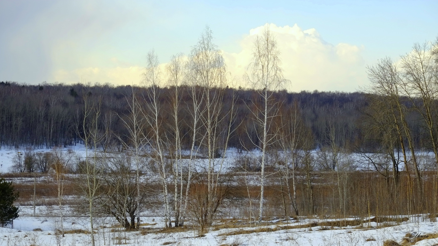 Весенний пейзаж.