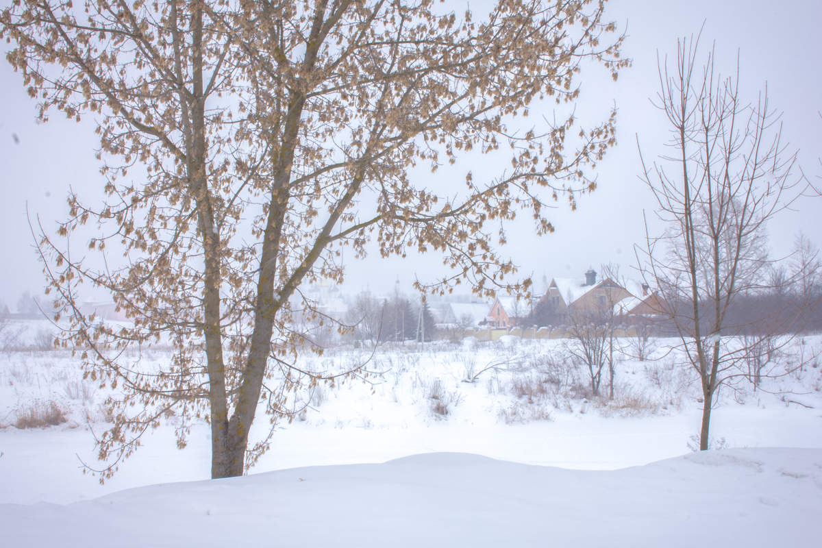 Тихий шелест..